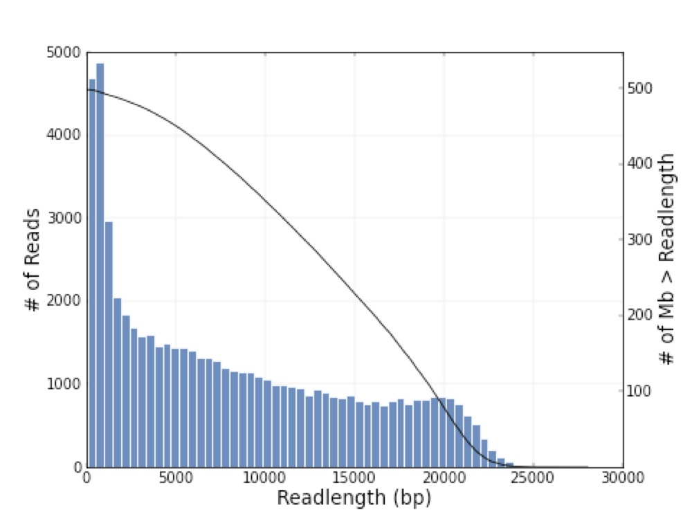 PacBio Read Length